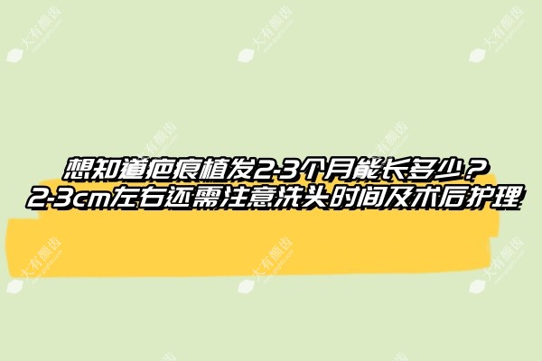 想知道疤痕植发2-3个月能长多少