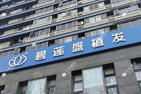 碧莲盛植发价格一览表
