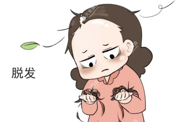 脱发和掉发的区别在哪