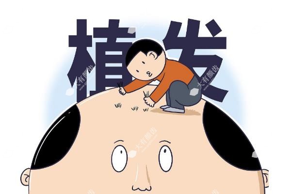 植发到底好不好,可以坚持多长时间？详看解答+植发2025价格一览表3