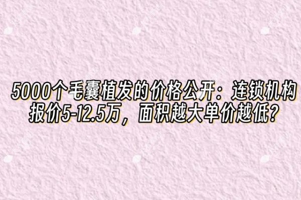 5000个毛囊植发的价格