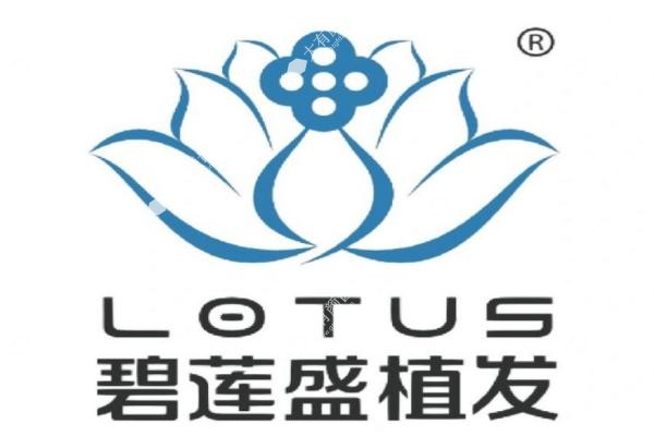 碧莲盛植发价格一览表.jpg