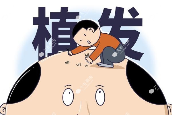 植发后毛囊多久稳固.jpg