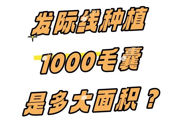 发际线种植1000毛囊是多大面积